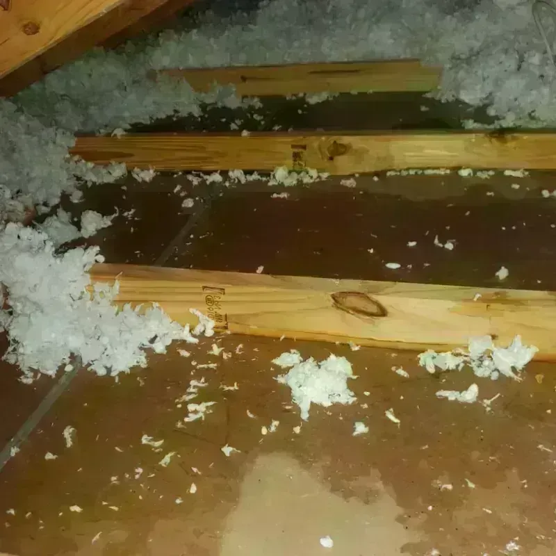 Attic Water Damage in Roosevelt County, MT