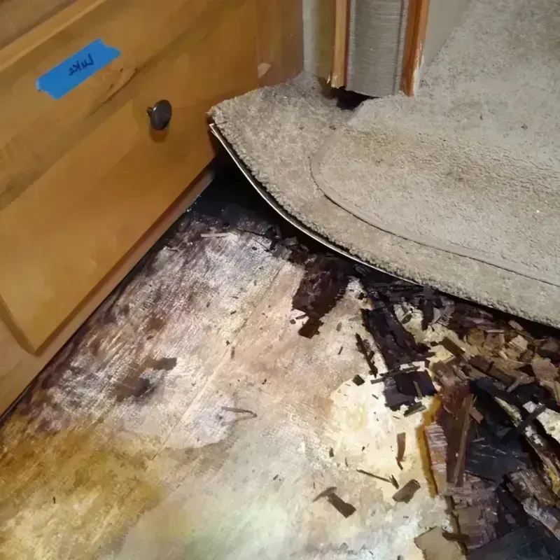 Wood Floor Water Damage in Roosevelt County, MT